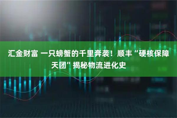 汇金财富 一只螃蟹的千里奔袭！顺丰“硬核保障天团”揭秘物流进化史