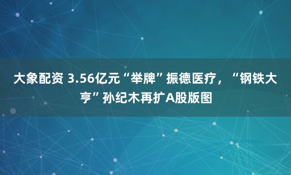大象配资 3.56亿元“举牌”振德医疗，“钢铁大亨”孙纪木再扩A股版图